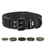 Pet Collar