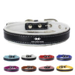 Leather Dog Collar