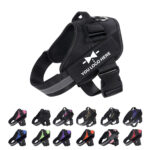 Pet Harness and Rope