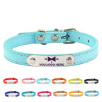 Adjustable Dog Collar