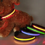 Chargeable LED Dog Collar - Image 3