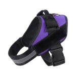 Pet Harness and Rope - Image 9