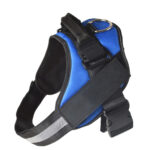 Pet harness and Rope - Image 5