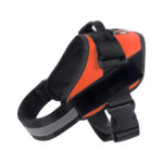 Pet Harness and Rope - Image 8