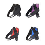 Pet harness and Rope - Image 4