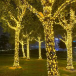LED Starry Fairy Light - Image 3