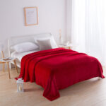 Comfortable Winter Fleece Thermal Blanket - Image 5