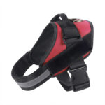 Pet Harness and Rope - Image 6