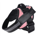 Pet Harness and Rope - Image 5