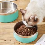 64 Oz Stainless Steel Dog Bowl - Image 5