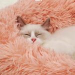 Super Soft Dog Cat Bed - Image 5