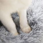 Super Soft Dog Cat Bed - Image 4