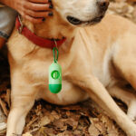 Pet Dog Poop Bag - Image 3