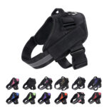 Pet Harness and Rope - Image 2