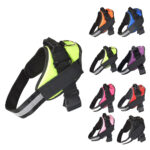 Pet harness and Rope - Image 2