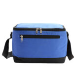 Insulated Lunch Cooler Bag - Image 5
