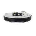 Leather Dog Collar - Image 12