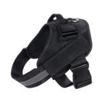 Pet Harness and Rope - Image 16