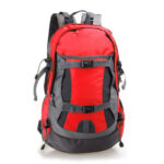 Travel Backpack - Image 7