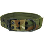 Pet Collar - Image 9