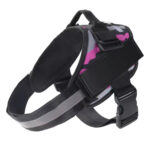 Pet Harness and Rope - Image 15