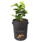 Potato Grow Bag - Image 6