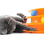 Tower of Tracks Cat Toy - Image 5