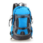 Travel Backpack - Image 5