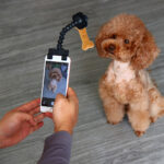 Portable Pet Selfie Stick - Image 4