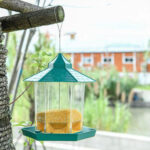 Bird Feeder - Image 6