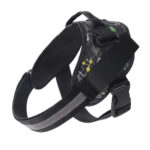 Pet Harness and Rope - Image 13