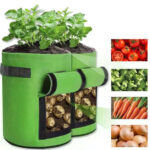 Potato Grow Bag - Image 4