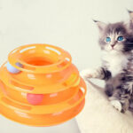 Tower of Tracks Cat Toy - Image 3