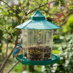 Bird Feeder - Image 5