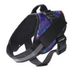 Pet Harness and Rope - Image 12