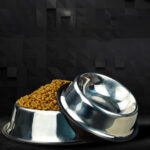 Stainless Steel Pet Bowl - Image 3