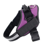 Pet harness and Rope - Image 8