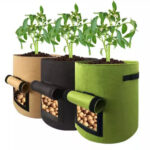 Potato Grow Bag - Image 3