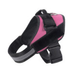 Pet Harness and Rope - Image 11