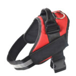 Pet harness and Rope - Image 7