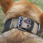 Pet Collar - Image 4