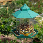 Bird Feeder - Image 3