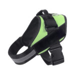 Pet Harness and Rope - Image 10