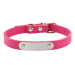 Adjustable Dog Collar - Image 9